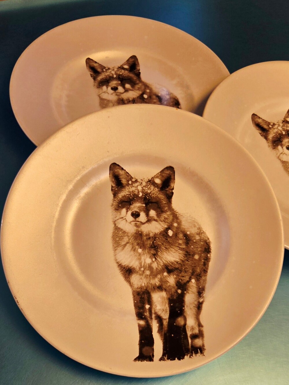 Pier 1 Imports "Snow Fox" 8.5" Frosty Plates Micro & Dishwasher Safe